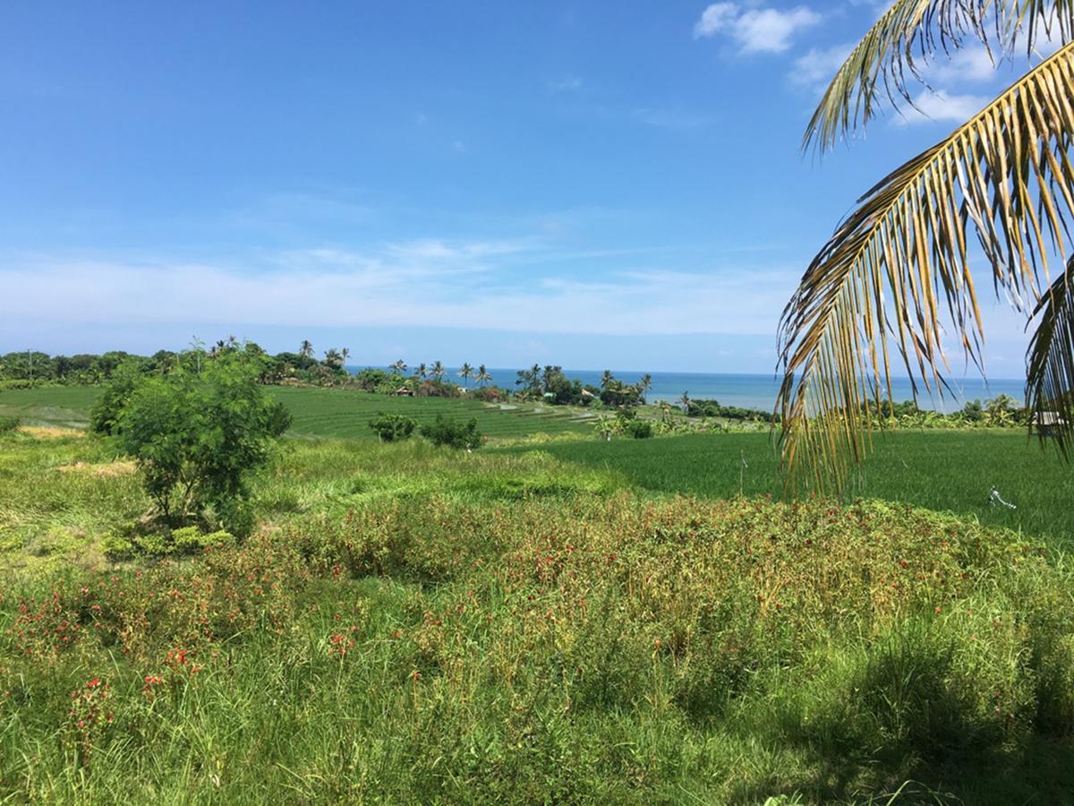 Exotica Bali Villa Canggu  Luaran gambar